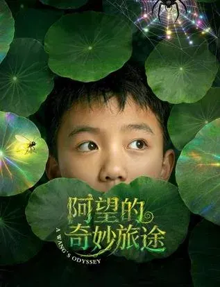 阿望的奇妙旅途