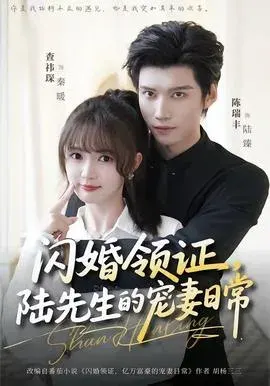 闪婚领证，陆先生的宠妻日常